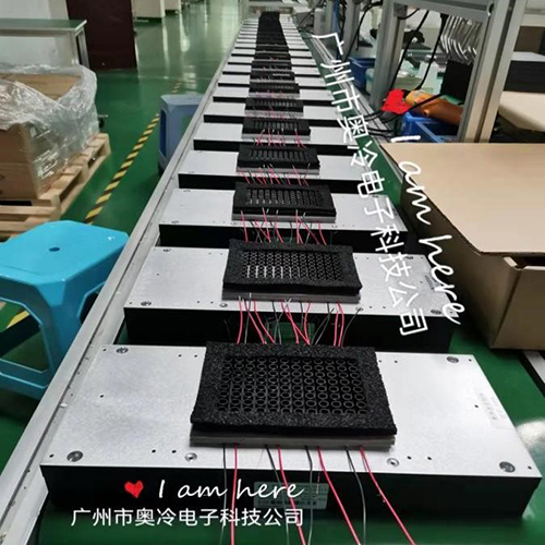 半導(dao)體(ti)加(jia)熱/製(zhi)冷模塊 分(fēn)子(zi)診斷(duan)  PCR、IVD、POCD係(xi)列